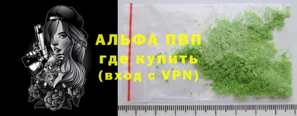 ПСИЛОЦИБИНОВЫЕ ГРИБЫ Вяземский