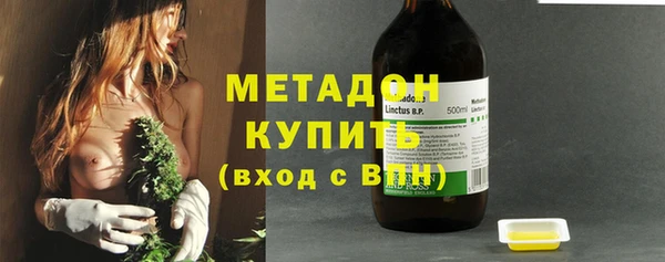 ПСИЛОЦИБИНОВЫЕ ГРИБЫ Вяземский