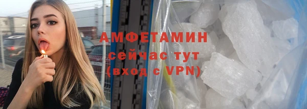 ПСИЛОЦИБИНОВЫЕ ГРИБЫ Вяземский
