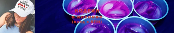 ПСИЛОЦИБИНОВЫЕ ГРИБЫ Вяземский
