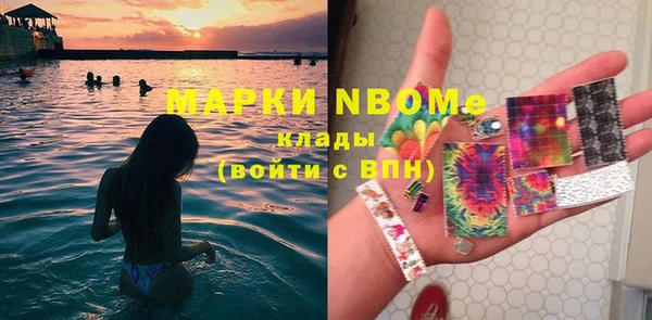 ПСИЛОЦИБИНОВЫЕ ГРИБЫ Вяземский
