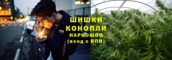 ПСИЛОЦИБИНОВЫЕ ГРИБЫ Вяземский