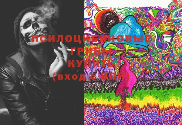 ПСИЛОЦИБИНОВЫЕ ГРИБЫ Вяземский