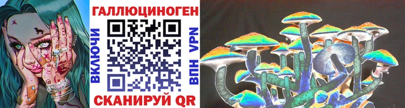 Галлюциногенные грибы Psilocybine cubensis  Купить где  Терек 